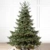 Balsam Hill 9' Clear LED European Fir Tree