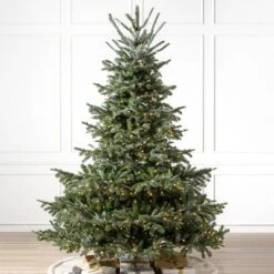 Balsam Hill 9' Clear LED European Fir Tree