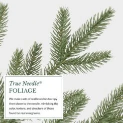 Balsam Hill 9' Clear LED Stratford Spruce Tree -Northlight Shop GUEST 2d46bb7c 3dda 4917 bc8d c2880645f827