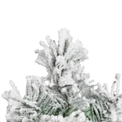 Northlight Full Flocked Angel Pine Artificial Mini Christmas Tree - 24" - Unlit 7 Northlight Full Flocked Angel Pine Artificial Mini Christmas Tree - 24" - Unlit -Northlight Shop GUEST 3656ea20 cdd0 41b4 baab 2e0a2d4a7b00