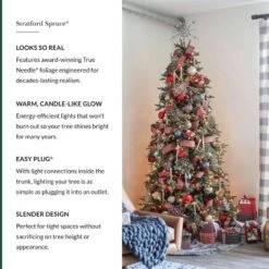 Balsam Hill 9' Clear LED Stratford Spruce Tree -Northlight Shop GUEST 977e6968 8d65 441d 887f a36baaae01cb