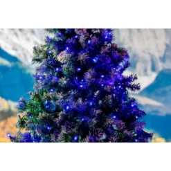 Novelty Lights LED Christmas String Lights 70 Mini Bulbs (Green Wire, 24 Feet) -Northlight Shop GUEST 991d9d47 3495 44b4 a003 01725cc27976