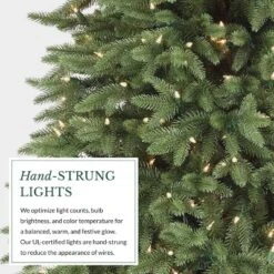 Balsam Hill 9' Clear LED Stratford Spruce Tree -Northlight Shop GUEST a02dde0f 9c9f 4a96 96b9 e6518c170ea6