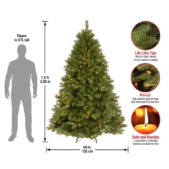 Prelit Winchester Pine Artificial Christmas Tree Clear Lights - National Tree Company -Northlight Shop GUEST df4910cc a92d 4b5d ba15 144c229cc222