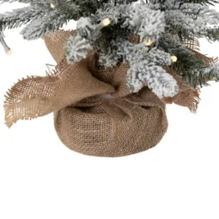Northlight Real Touch™ Pre-Lit B/O Tamarack Pine Artificial Christmas Tree With Burlap - 2' Warm White LED -Northlight Shop GUEST e7d34180 7e9d 4837 b522 c67dedd5279c