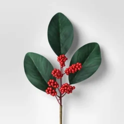 4pc Christmas Pick Set 2 Magnolia Leaf 2 Red Poinsettia - Wondershop™ -Northlight Shop GUEST f4255727 4432 43e9 bc15 cf1d5326592b