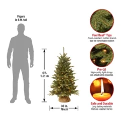 4' Prelit Evergreen Artificial Christmas Tree In Burlap Bag Clear Lights - National Tree Company -Northlight Shop GUEST f731240e eee0 4625 bb9e 7e2270922c89